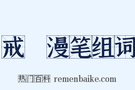 戒菴漫笔组词是什么意思的图片